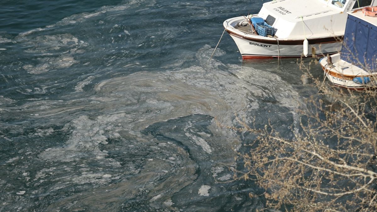 Çanakkale sahillerinde müsilaj tehlikesi