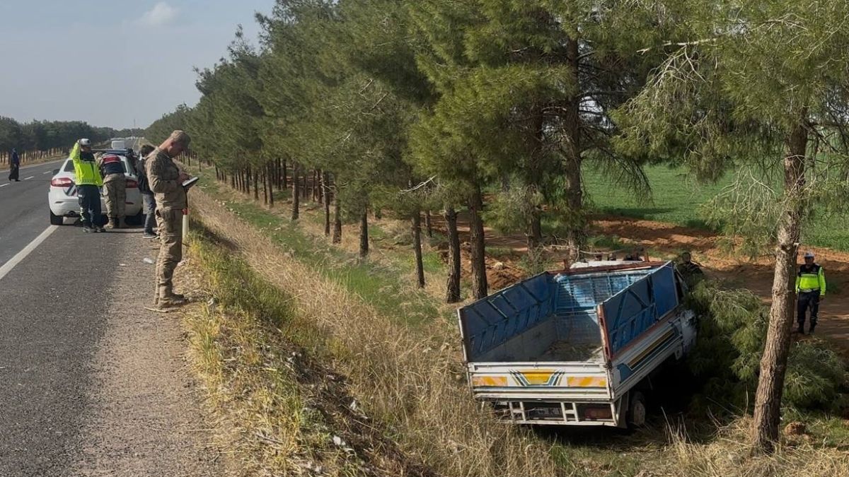Şanlıurfa'da kamyonet ağaca çarptı