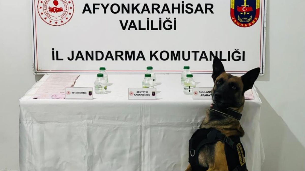 Afyonkarahisar’da uyuşturucu satıcısı, jandarmaya yakalandı
