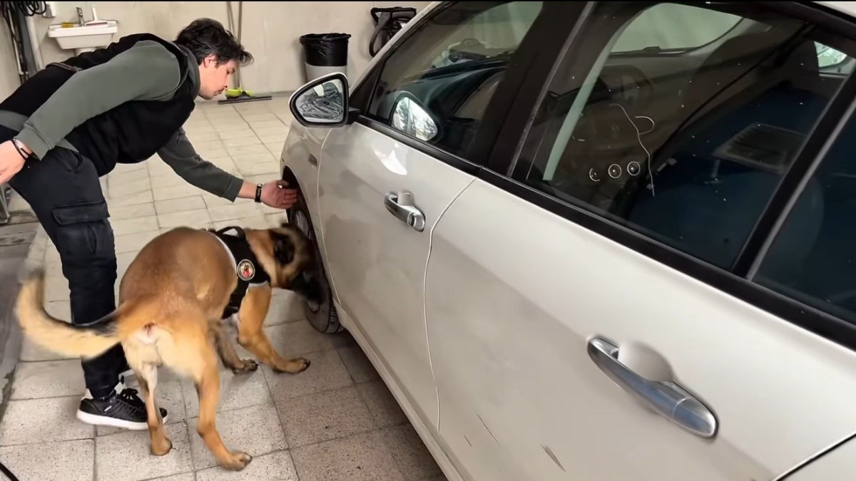 Bilecik'te uyuşturucu operasyonu düzenlendi