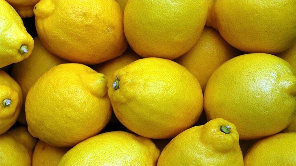 Irak, Türk limonuna talepte birinci sıraya yükseldi
