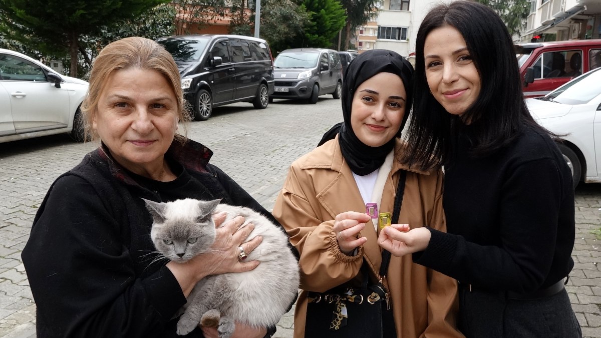 Trabzon'da 'Badem’ adlı kayıp kedisini bulana altın verdi