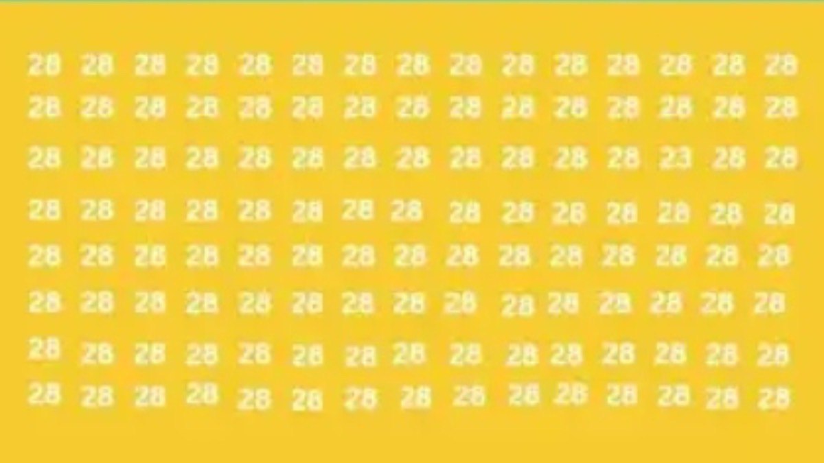Sadece dahiler bulabiliyor! Resimdeki 23 sayısını 5 saniyede bulan dahi çıkıyor