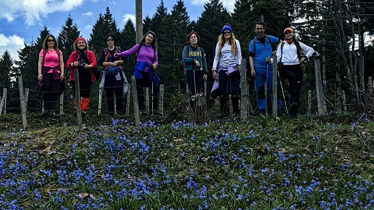 Trabzon'da mor çiçeklerin açtığı yaylaya yürüyüş