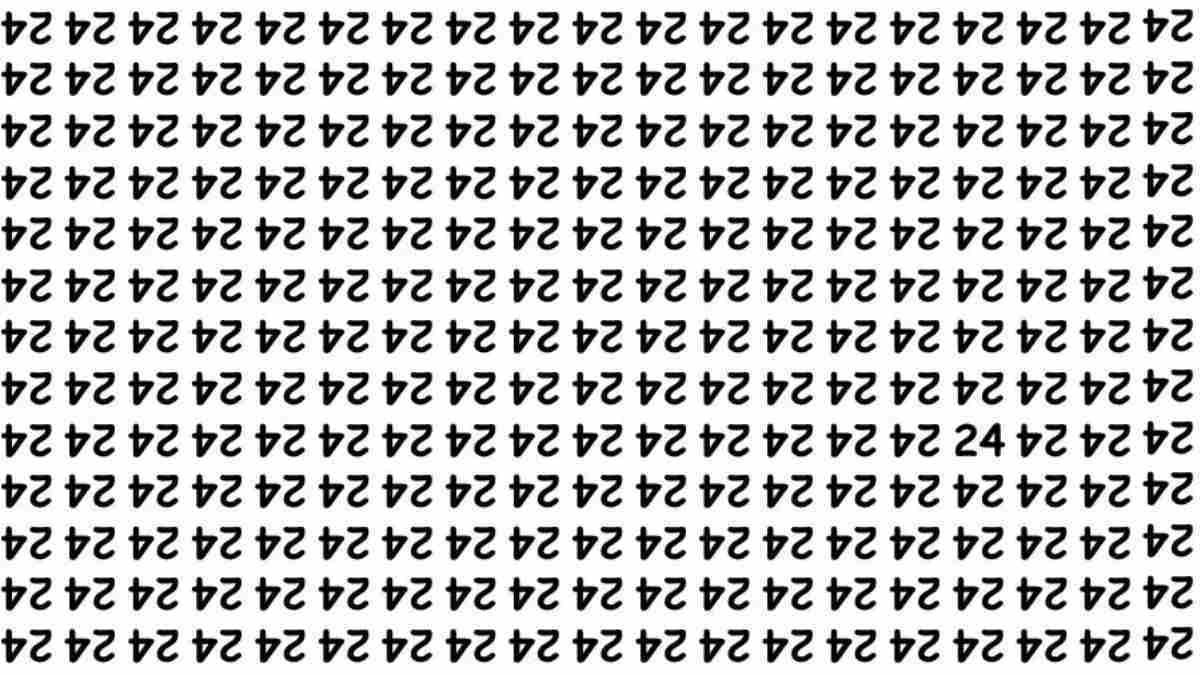 IQ Testi: 24 Sayısını Görebiliyorsanız Dahi Seviyesindesiniz...
