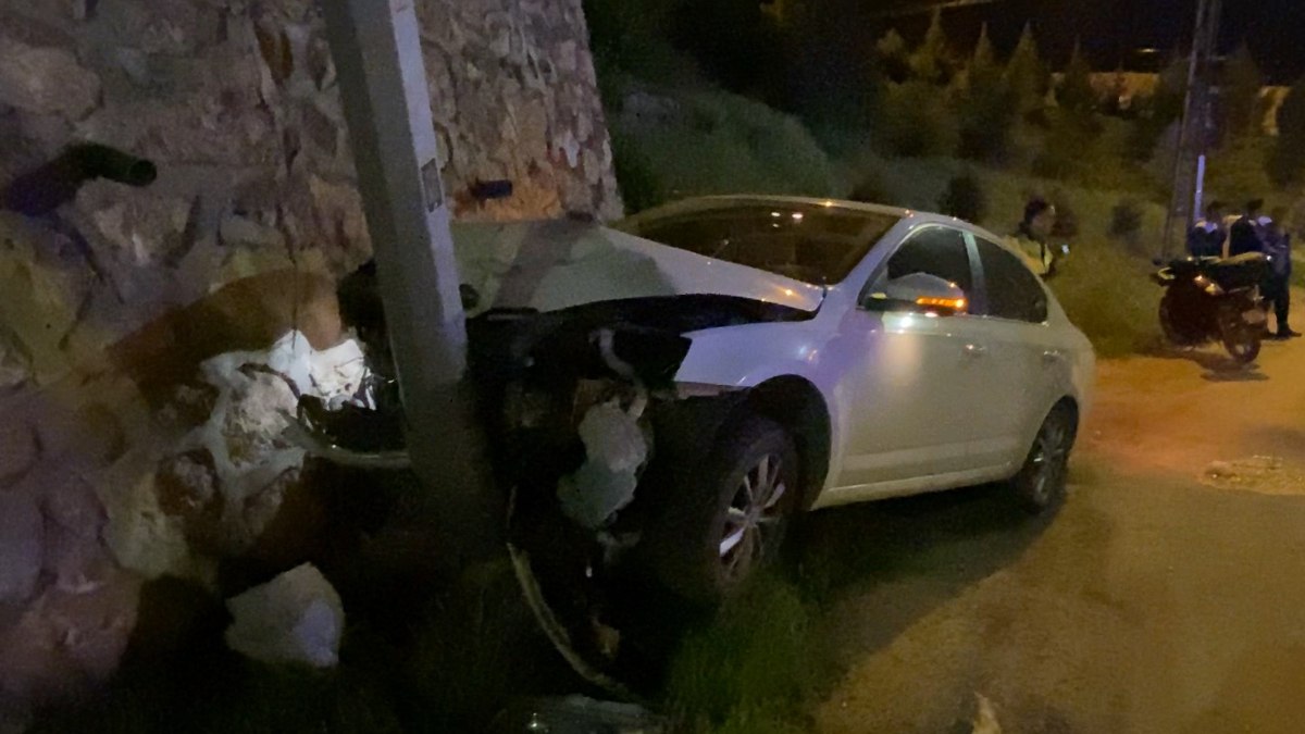 Elazığ'da otomobil aydınlatma direğine çarptı : 2 yaralı