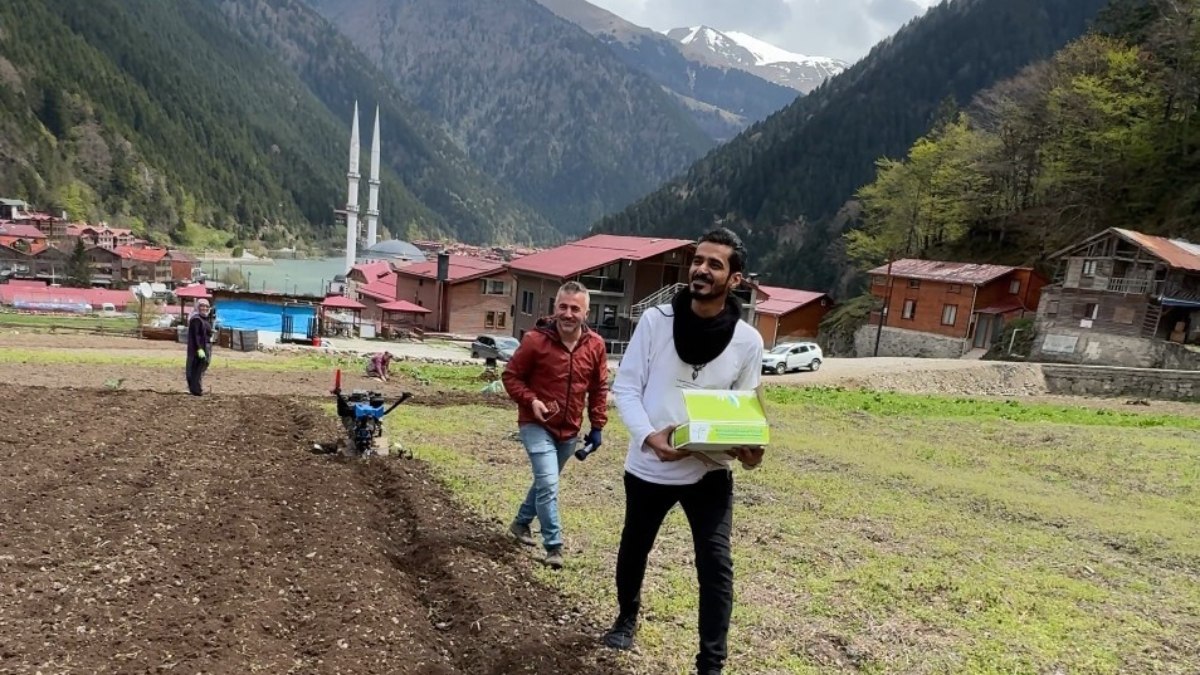 Trabzon'da Arap turistler, mısır eken vatandaşlara hurma dağıttı