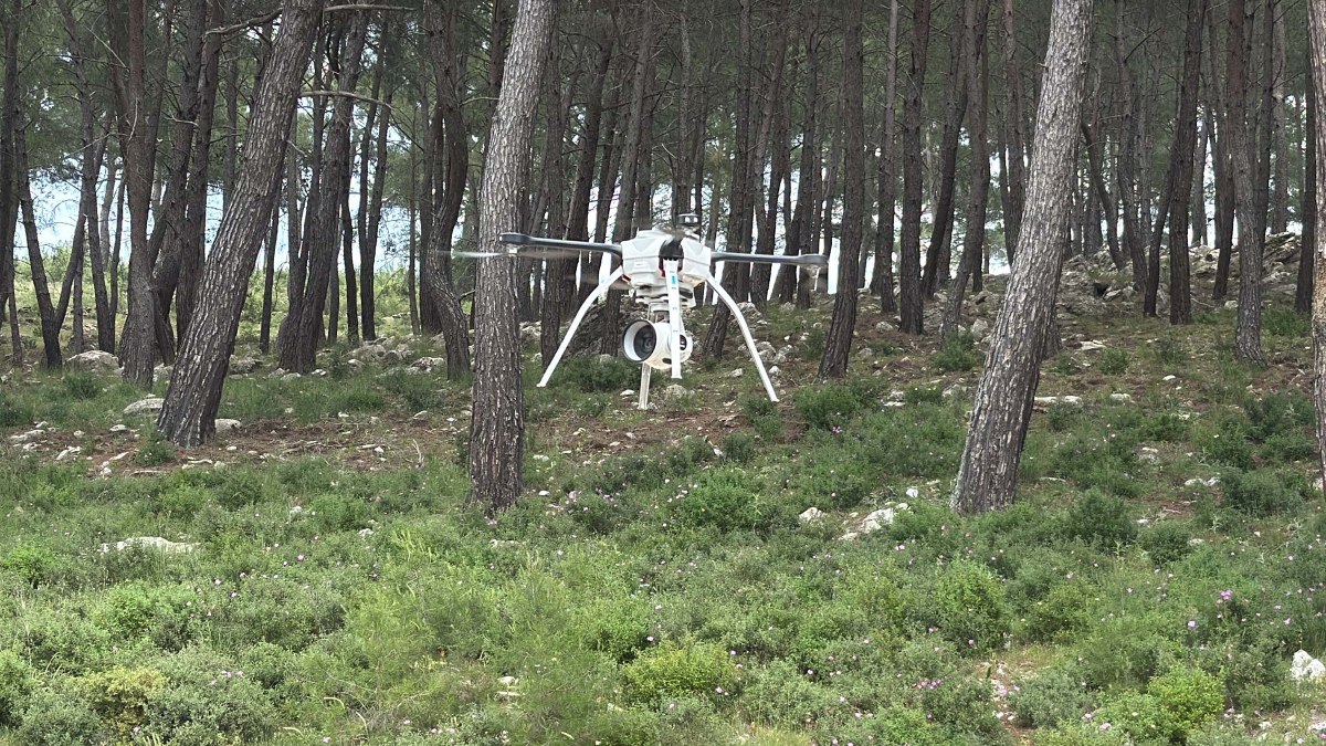 Muğla'da orman yangınlarına karşı yeni önlemler