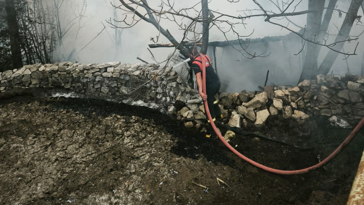 Kütahya'da kümes yangını: 100 tavuk öldü