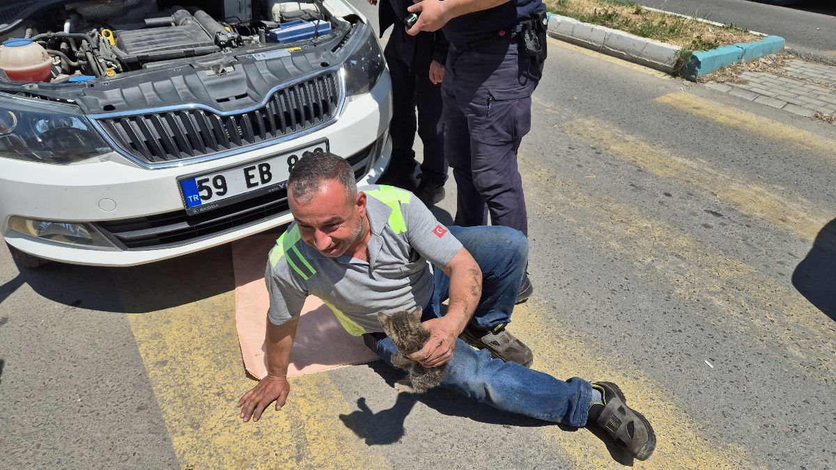 Tekirdağ'da kedi sesiyle, kedi kurtarma operasyonu