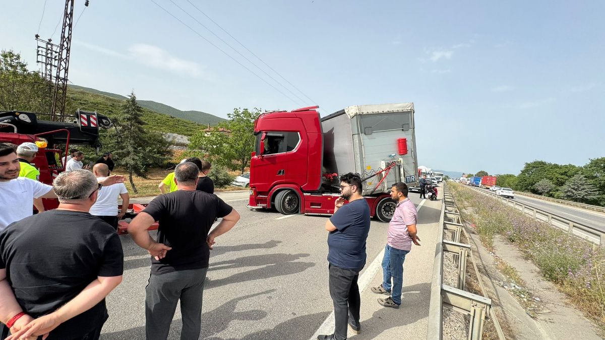 Bursa'da arı ısırdı, sürücü şoka girdi