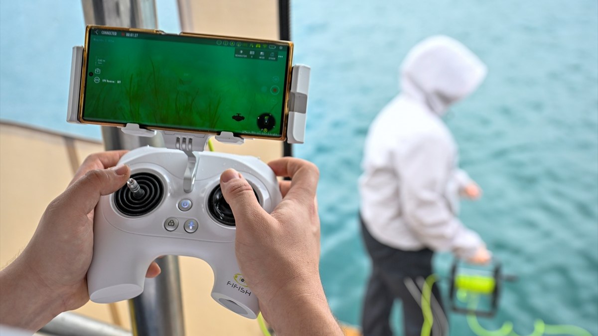 İstanbul Boğazı'ndaki deniz çayırlarının üzerindeki müsilaj arttı