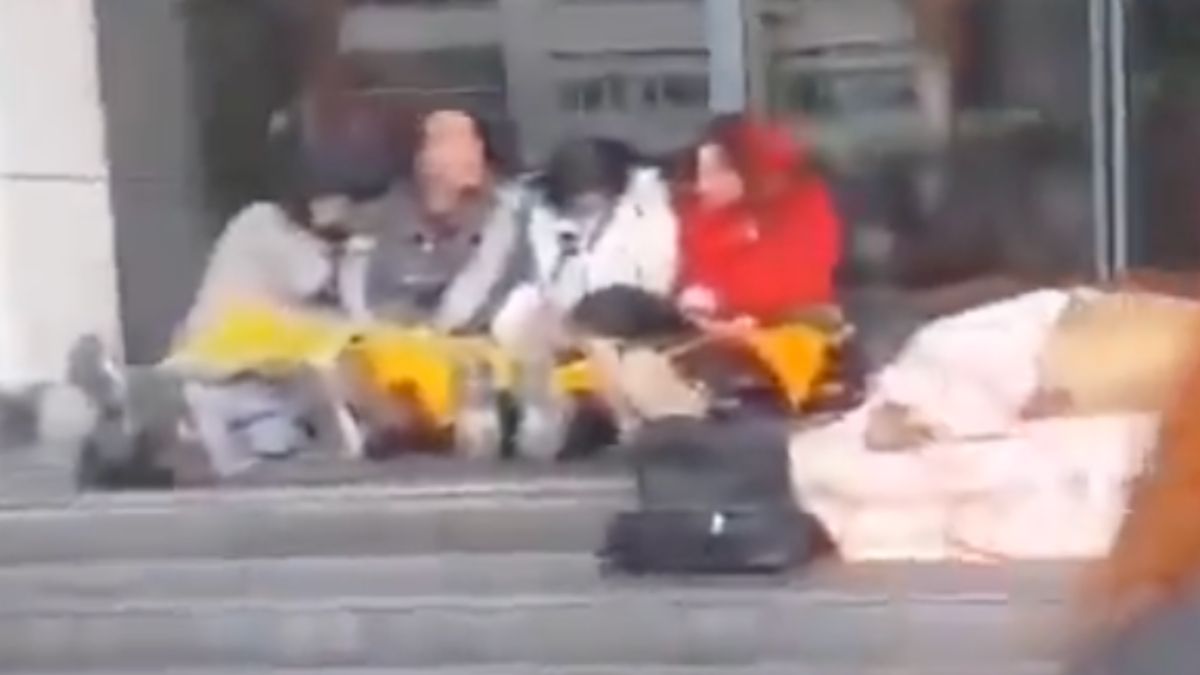 Başıboş köpekler için Ankara'da oturma eylemi: Polise hakaret ettiler