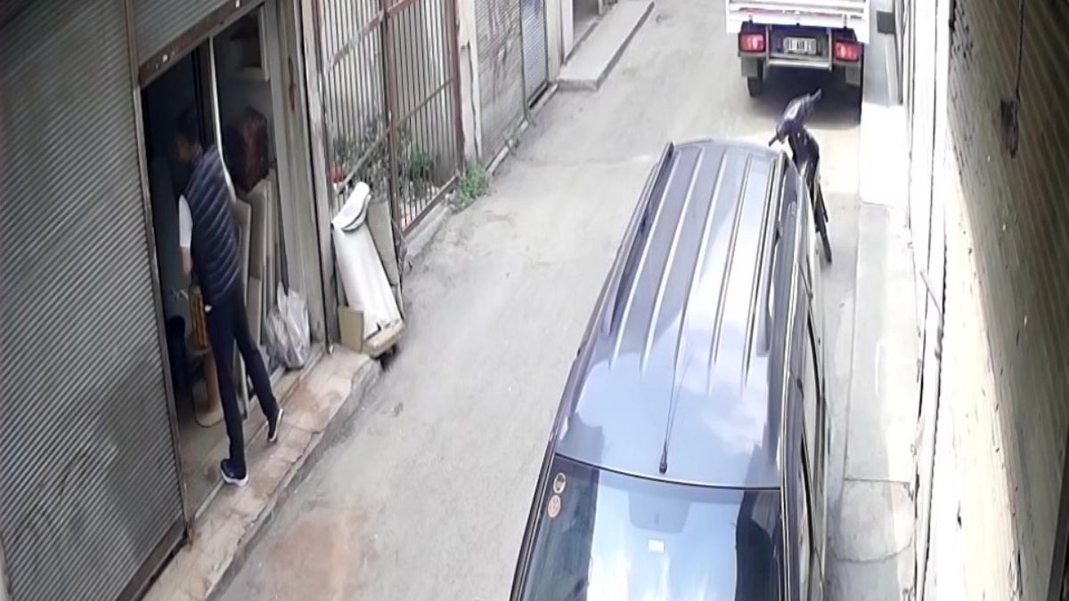 Adana'da 3 dükkanı soyan hırsız: Soru sormak için girdim
