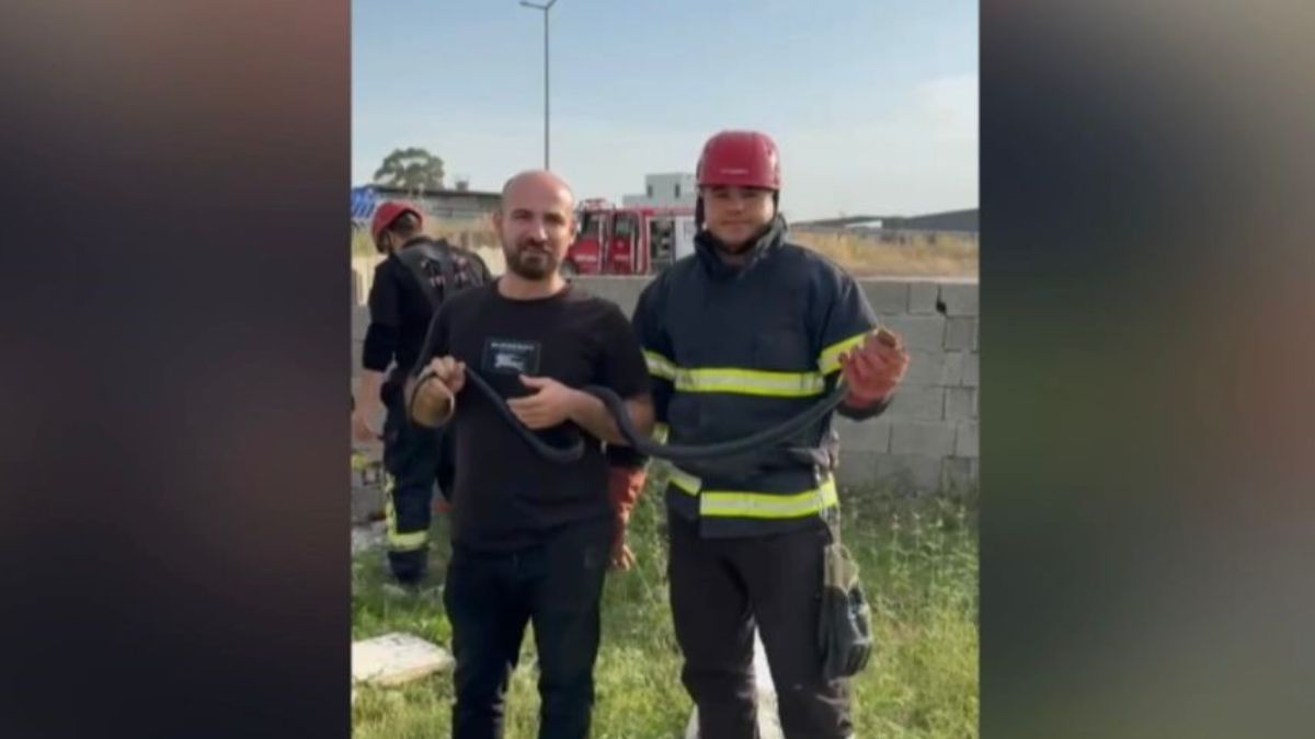 Osmaniye'de bahçeye giren yılanla hatıra fotoğrafı çektirdiler