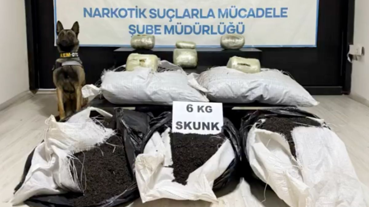 Hakkari'de 6 kiloluk sentetik uyuşturucuyu kargoda ele geçirildi