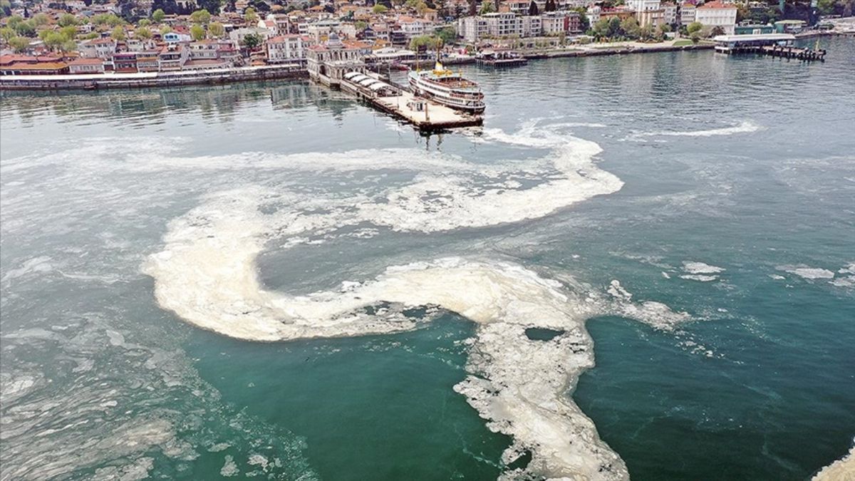 Marmara Denizi'nde müsilaj tehdidi: 2021'deki tablo geri dönebilir