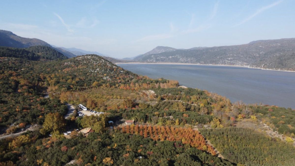 Muğla'da ormanlara giriş yasağı getirildi