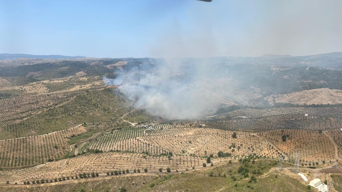 İzmir Seferihisar'da orman yangını