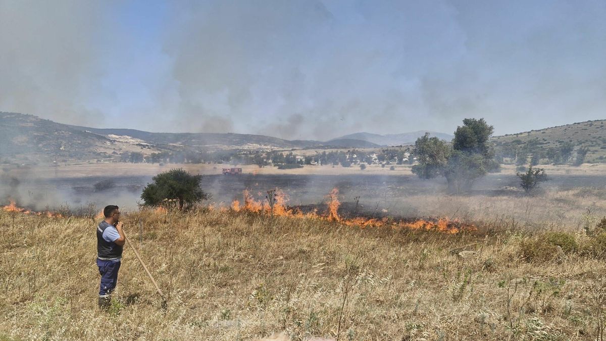 İzmir Foça'da ot yangını: 4 hektarlık alan kül oldu