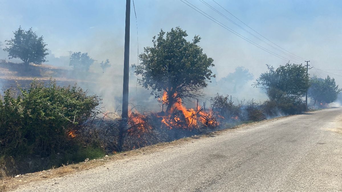 Çanakkale'de tarım arazisinde başlayan yangın, ormana sıçradı