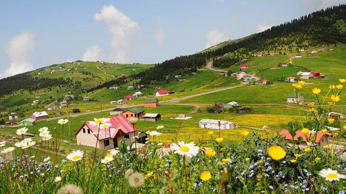 Temiz hava, oksijen demeyin! Yaylaya çıkmak da zararlı çıktı...