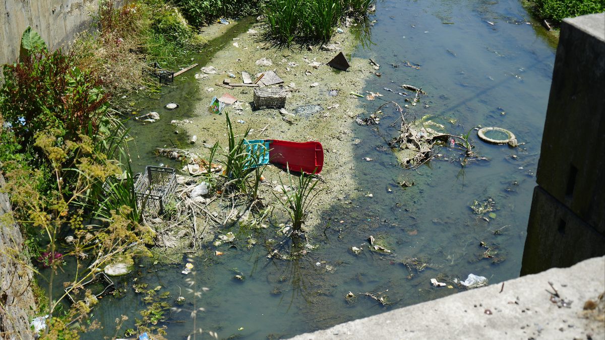 İstanbul Arnavutköy'de çöp dolu dere dere çevreyi adeta zehirliyor