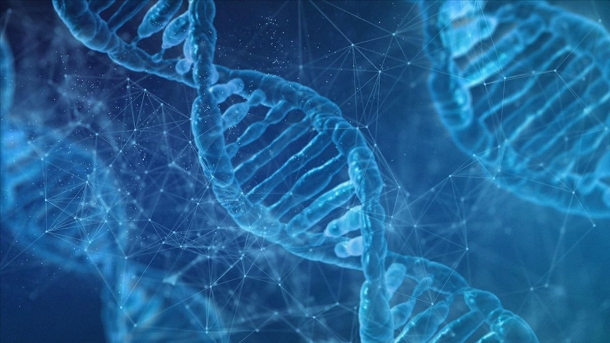 DNA'lar yeniden kodlanıyor: Laboratuvarda "insan üretimi" yapılacak