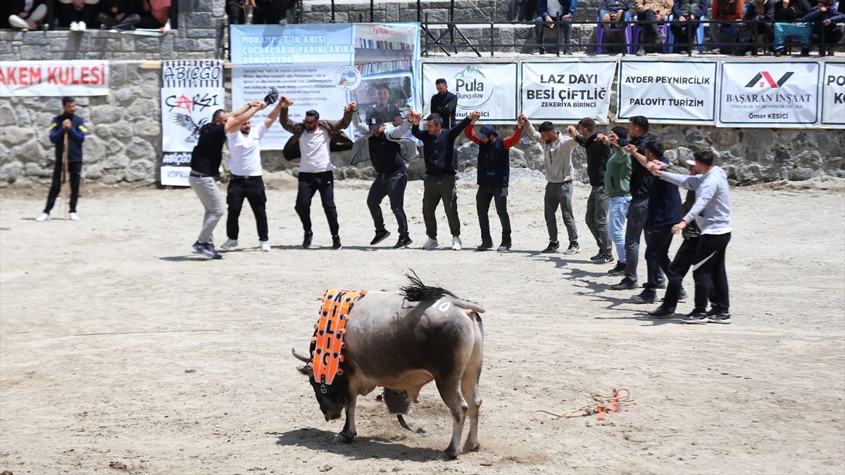 Rize'de Çamlıhemşin Ayder Kültür, Sanat ve Doğa Festivali