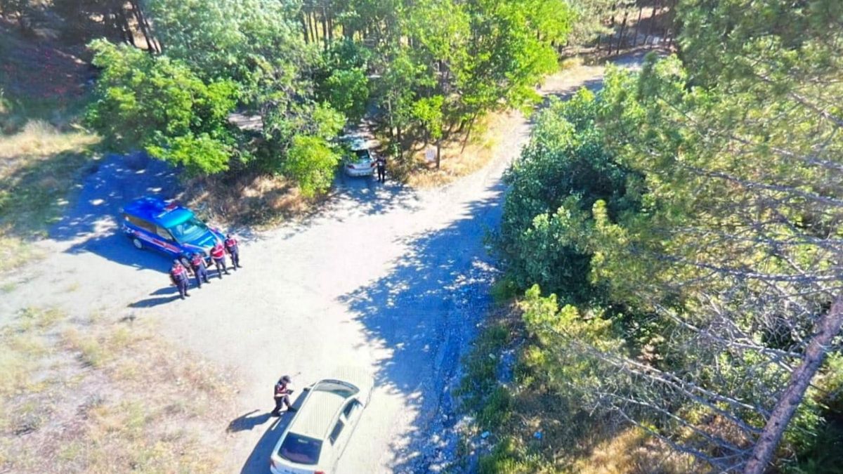 Ankara Valiliği'nden orman yangını tedbirleri