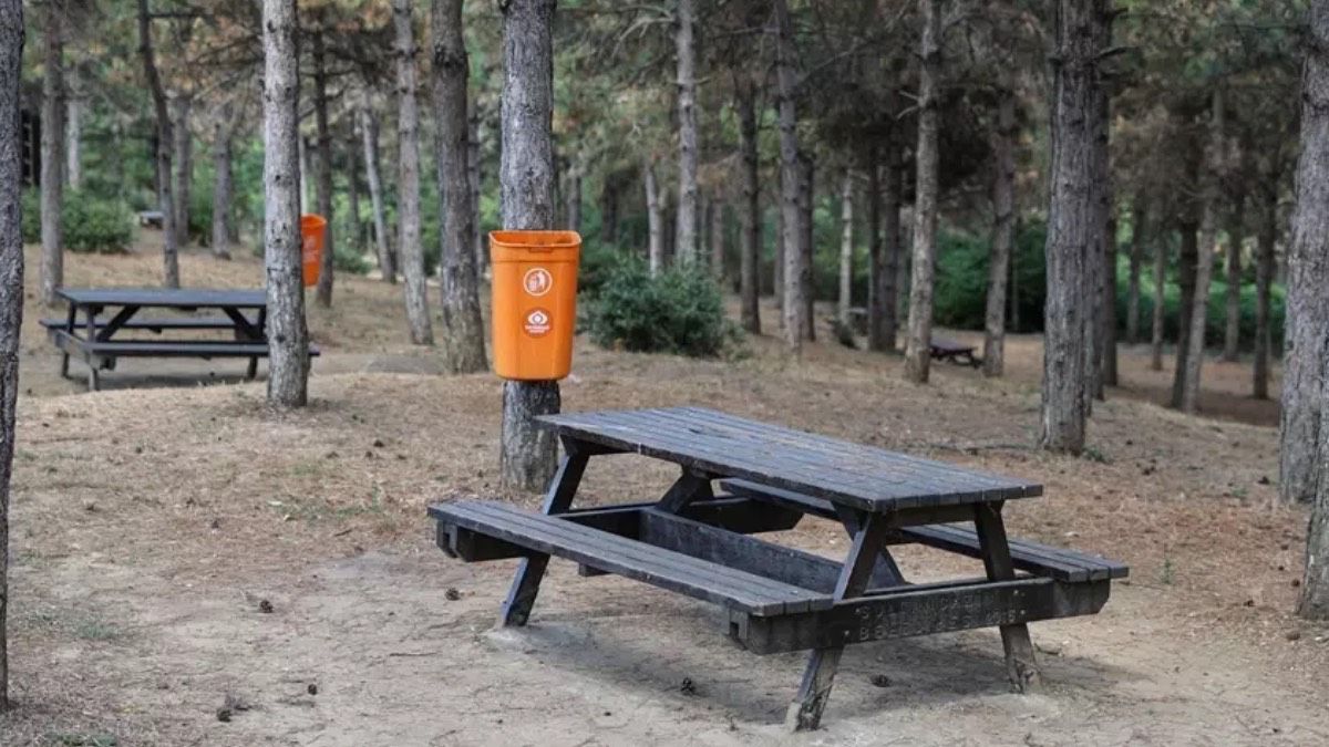 Ormanlara girişi yasaklanan iller 2025: İstanbul’da açık olan piknik alanları