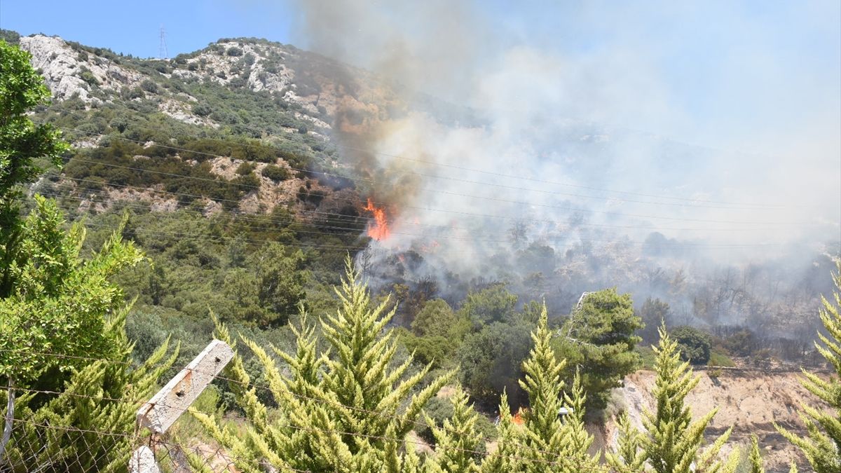 Muğla'da çıkan orman yangınına müdahale ediliyor