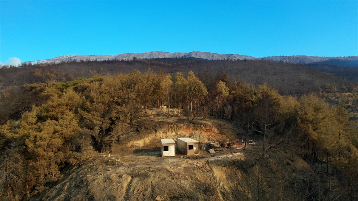 Hatay'da yanan alanlar görüntülendi
