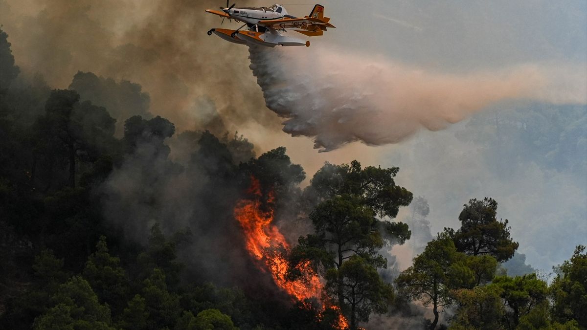 Manisa'da 3 ilçedeki orman yangınlarına müdahale sürüyor
