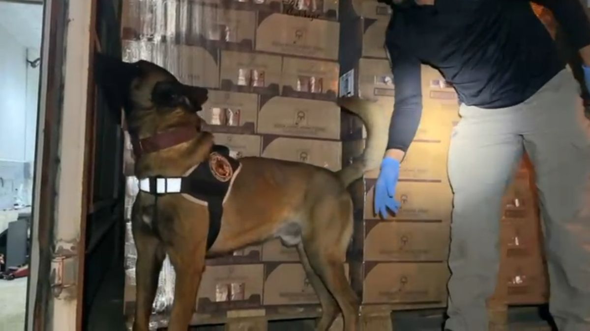 Kocaeli'de TEM geçişinde durdurulan araçtan 9 kilo kokain ele geçirildi