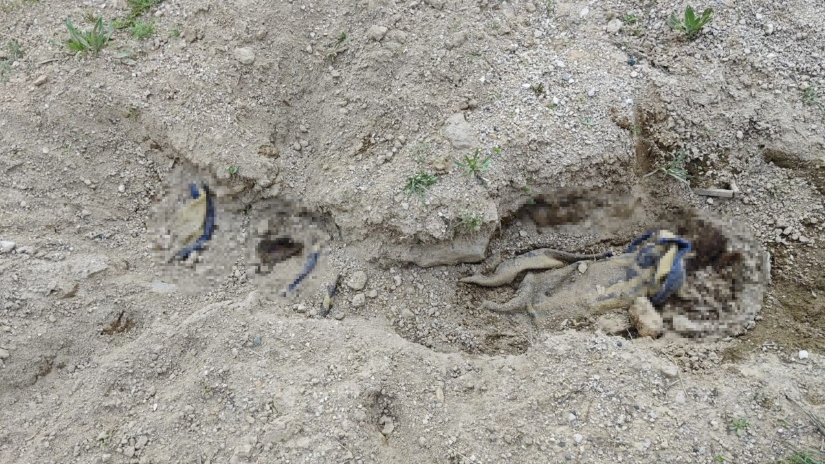 Nevşehir'de bulunan cesedin kimliği belli oldu