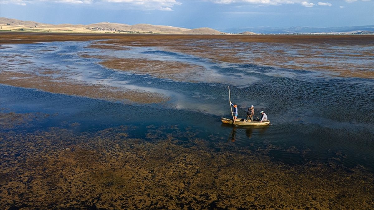 10 soruda Türkiye'nin ilk İklim Kanunu'nun merak edilenleri