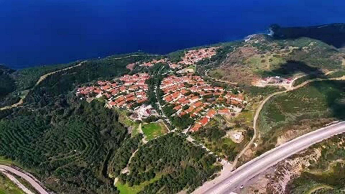 İzmir'de çıkan yangınlar sonrası yürek burkan kareler