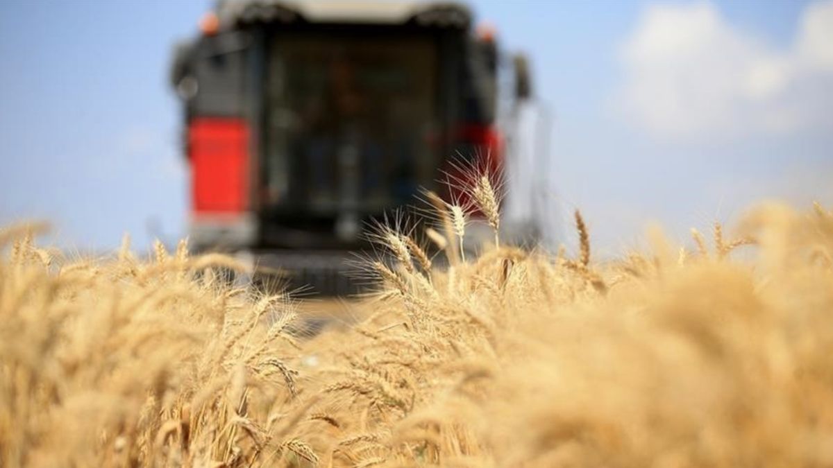 Türkiye, FAO konsey üyeliğine seçildi