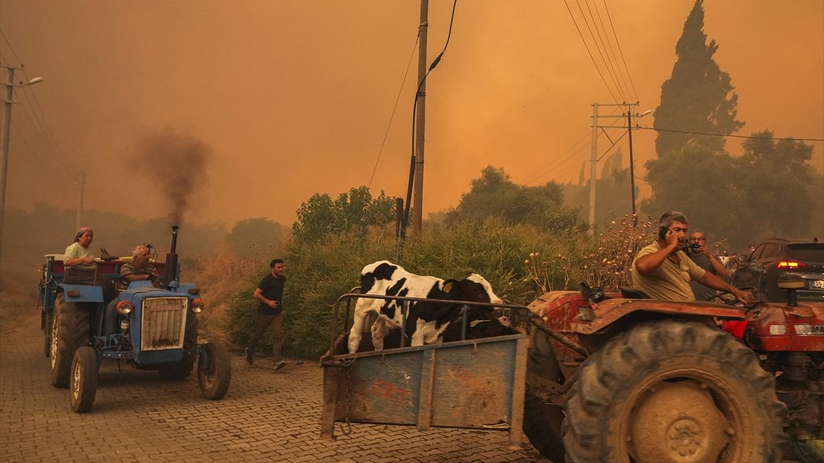 Muhalefetin yangın provokasyonu: Yine Türkiye'yi aciz göstermeye çalıştılar