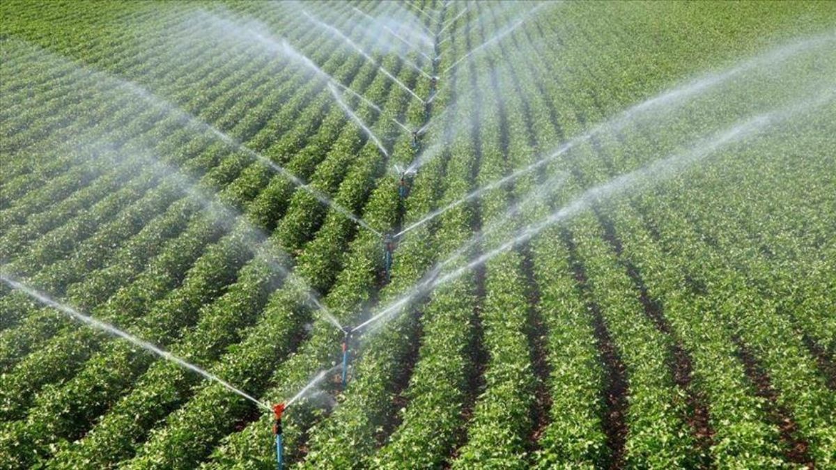 IPARD III Programı'nda 343 milyon euroluk destek ilanına çıkıldı