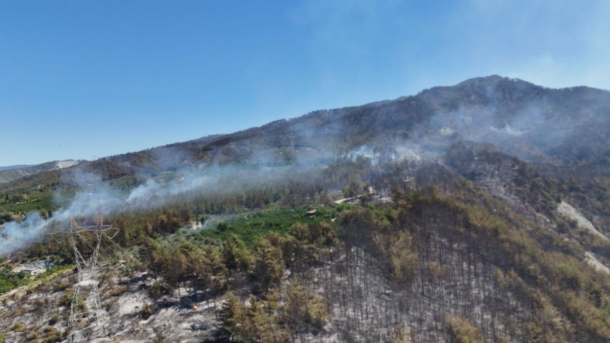 Havadan görüntülendi: Hatay'da yangının bıraktığı hasar