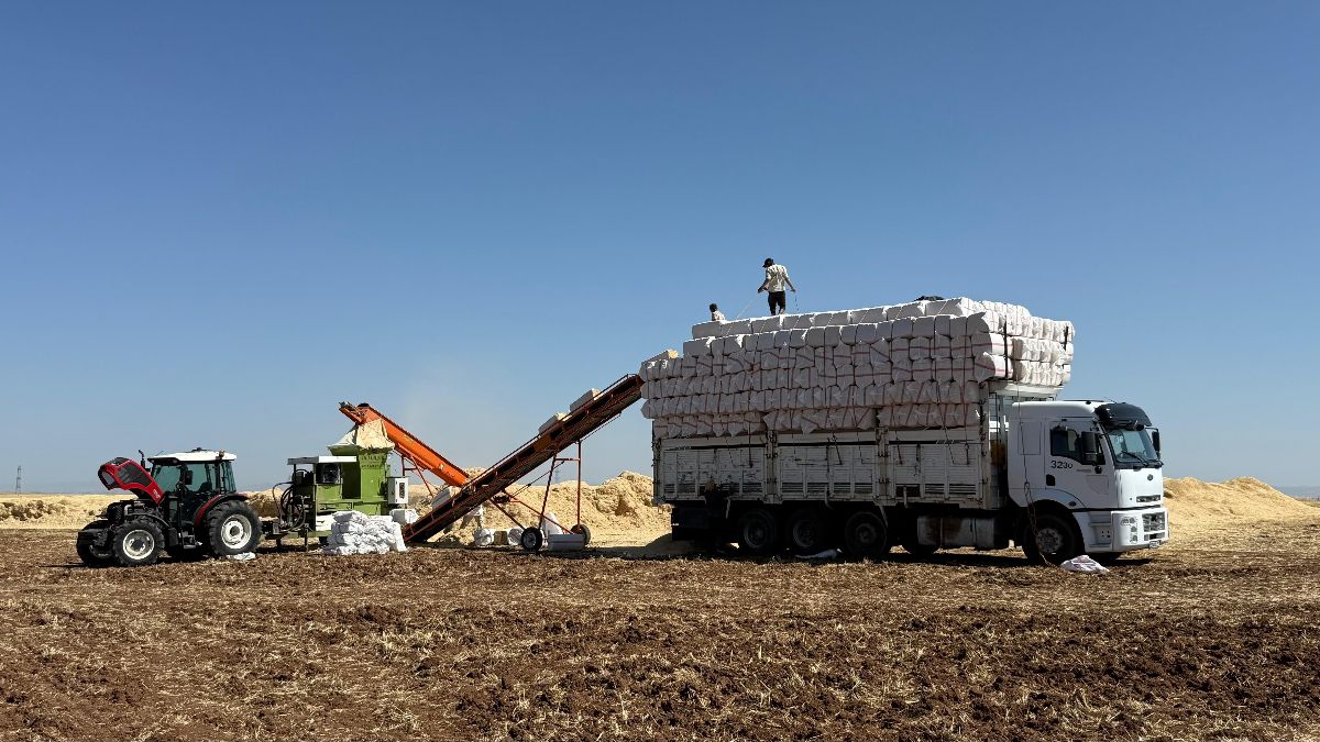 Diyarbakır'da 45 derece sıcaklıkta hububat hasadı