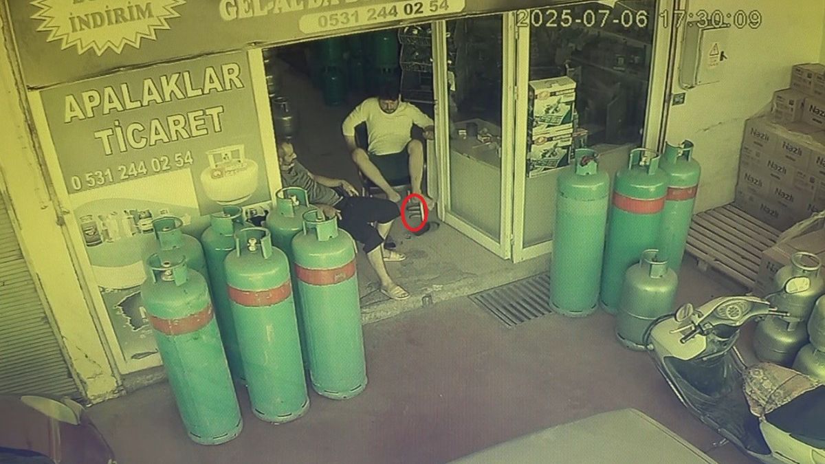 Antalya'da dükkana giren yılan, esnafı sokağa fırlattı