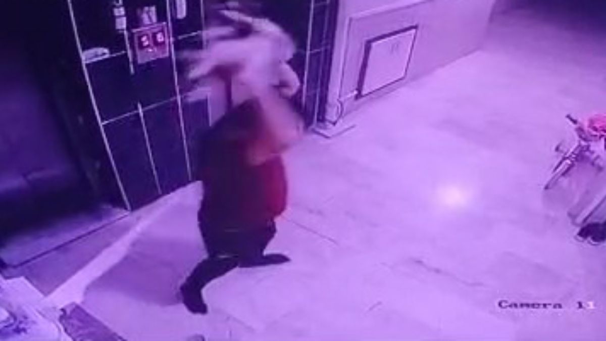 Konya'da kediyi yere fırlatan şüpheli gözaltına alındı
