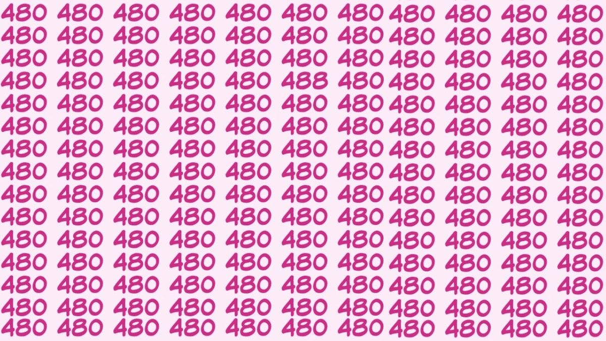 Gözleriniz ne kadar keskin? “480”lerin arasındaki “488”i 13 saniyede bulun