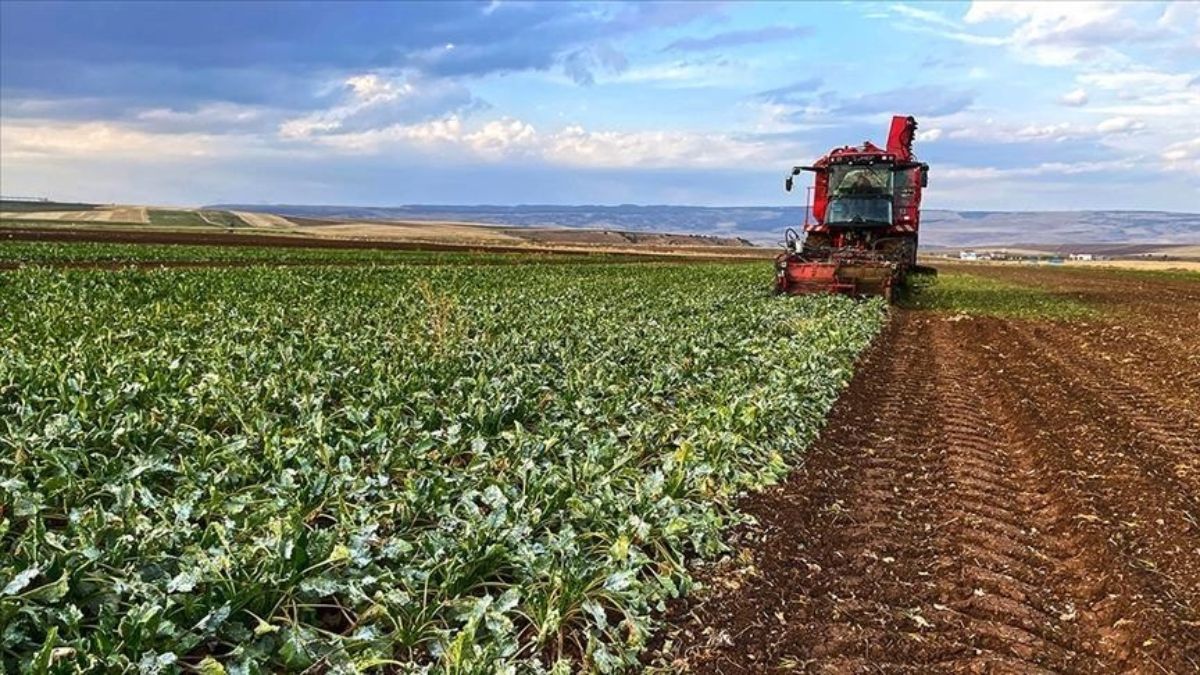 Çiftçilere 865 milyon liralık destekleme ödemesi bugün yapılacak