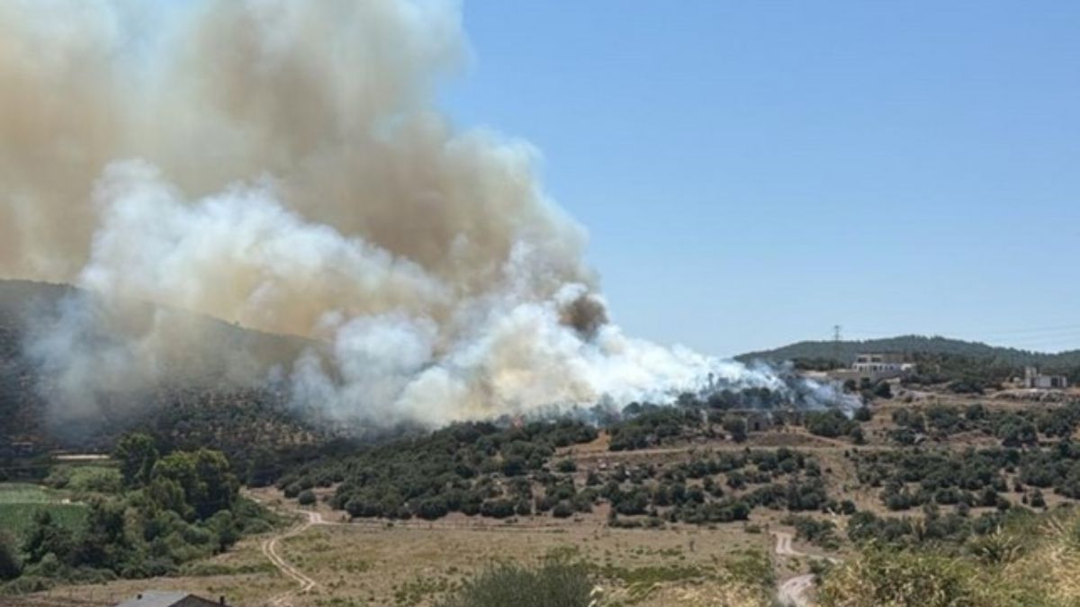 Milas'ta ziraat alanında çıkan yangın söndürüldü