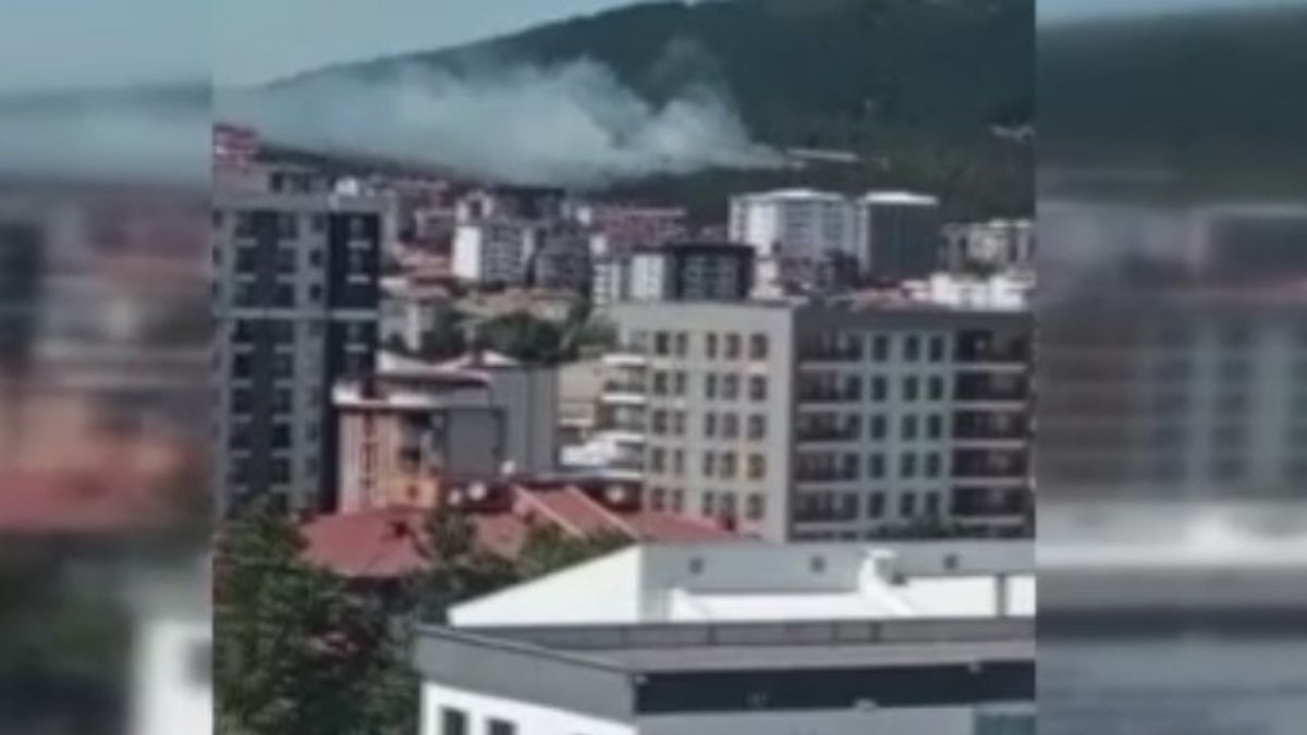 Pendik'te Aydos Ormanı'nda yangın