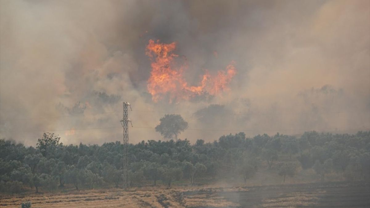 Tekirdağ'da anız yangını paniği: Alevler ormana sıçradı